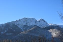 noclegi Zakopane Willa Złocień