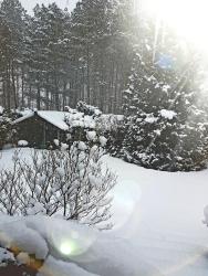 noclegi Puck Domek Letniskowy na Kaszubach lub Apartament z Kominkiem