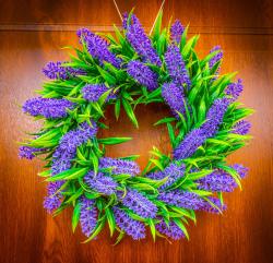 noclegi Władysławowo Lawendowe domki apartamenty