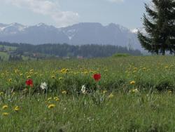 noclegi Ząb Dom z widokiem na Tatry