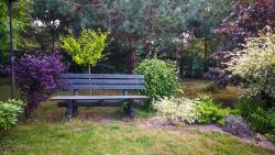 noclegi Sasino Biała Przystań