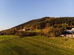 noclegi Limanowa Apartament Leśna