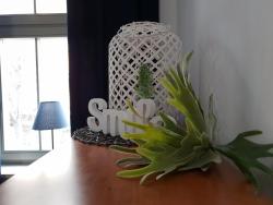 noclegi Sopot Kierunek Sopot Apartament GRACJA Monte Cassino 36