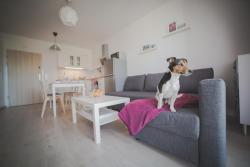 noclegi Kołobrzeg Feniks Apartamenty 8 by Jantar Apartamenty Kołobrzeg