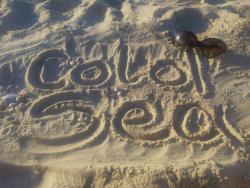 noclegi Sztutowo Agroturystyka Cold Sea