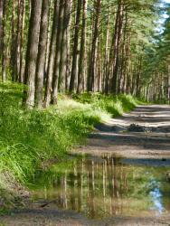 noclegi Międzyzdroje Blue Sea Apartment