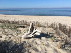 noclegi Hel Fok Sztormowy