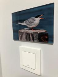 noclegi Dziwnów Lux Apartamenty - Rybitwa