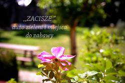 noclegi Wicie Zacisze Apartamenty,Pokoje