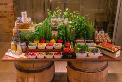 noclegi Gdańsk Q Hotel Grand Cru Gdańsk