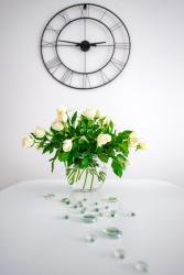 noclegi Świnoujście Apartament Baltic De Lux Platan Parking Free