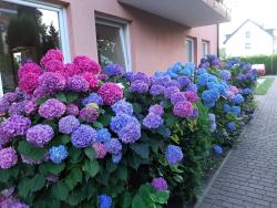 noclegi Rewal Villa Eldorado