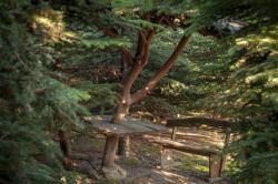 noclegi Baligród NATURA PARK BIESZCZADY - DOMKI CAŁOROCZNE