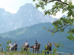 noclegi Zakopane Mały domek pod lasem