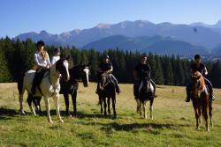 noclegi Zakopane Mały domek pod lasem