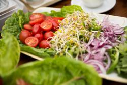 noclegi Ustka Villa Mistral