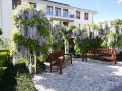 noclegi Gdynia Apartament Jaśminowy Shiraz Gdynia