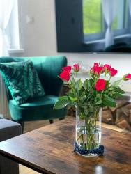 noclegi Mielno 365PAM - Apartamenty Szafirowa Mierzeja