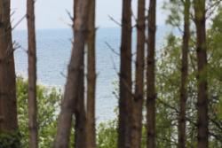 noclegi Rewal Palicki - Apartamenty z widokiem na morze