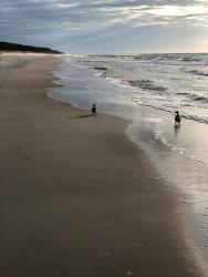 noclegi Kołobrzeg Apartament Komfortowy z klimatyzacja Plazowa 6