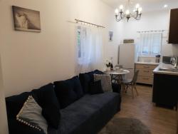 noclegi Szczytno Leśny Apartament II