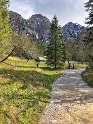 noclegi Zakopane Willa Swoboda Garden Spa