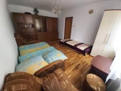 noclegi Polańczyk Apartament Berezka 667-108-706