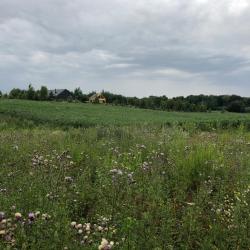 noclegi Tolkmicko Dom na Wysoczyźnie Elbląskiej