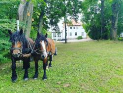 noclegi Miłakowo Dwór nad jeziorem w Bieniaszach