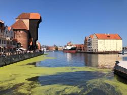 noclegi Gdańsk Granaria Grand Studio