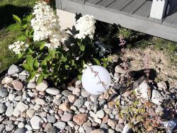 noclegi Rusinowo Malinowe Zacisze