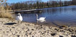 noclegi Kołczewo Szary domek SEA & LAKE