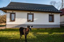 noclegi Gronków Chatki Nad Potokiem Gronków