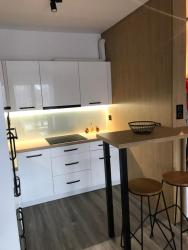 noclegi Cieszyn Apartament na Skrzypka