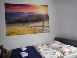 noclegi Zakopane Apartament Providentia Zakopane Witkiewicza 3