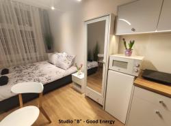 noclegi Elbląg Apartament Elbląg GoodEnergy - Stare Miasto, Oldtown, Altstadt