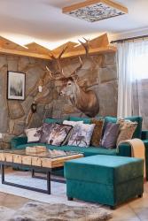 noclegi Witów Witkówka WILD Luxury Apartments - Sauna & SPA