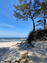 noclegi Grzybowo SURF APARTAMENT I