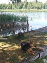 noclegi Stare Juchy Domek na Mazurach Ełk. Rogale