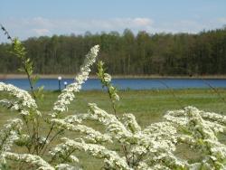 noclegi Ryn Bobrowa Dolina