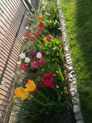 noclegi Mielno POKOJE GOŚCINNE BRYZA