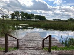 noclegi Srokowo Srokowski Dwór 1 - Leśny Zakątek - Prywatna Sauna!