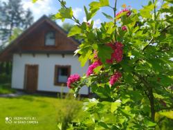 noclegi Rabka-Zdrój Na Szlaku - domki do wynajęcia