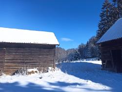 noclegi Jedwabno Dom na Mazurach z Widokiem Na Las