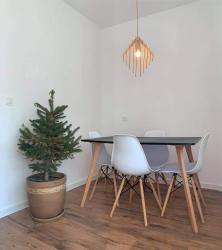 noclegi Krynica Zdrój Apartament nad Kryniczanką