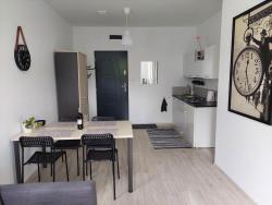 noclegi Jedlina-Zdrój Apartament Jedlinka