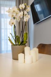 noclegi Gdańsk Baltic Gdańsk Old Town - St Mary s Church