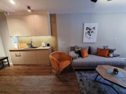 noclegi Szczyrk Apartament 10 Resort Kozubnik Kiczora - 5D Apartamenty