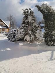 noclegi Poronin Tatrzanskie domki