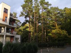 noclegi Jantar Nadmorski apartament w lesie